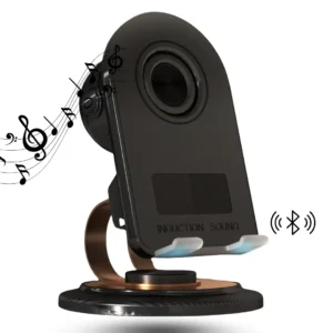 Wireless Induction Speaker